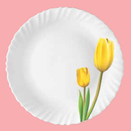 34 LAYNA FULL PLATE 11” SET - Image 1